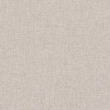 Light Grey Swatch Teaser